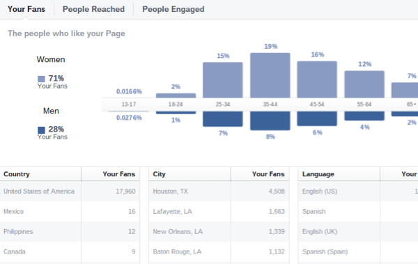 Facebook approfondimenti demografici del pubblico
