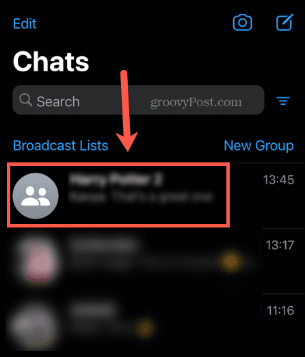chat di gruppo whatsapp