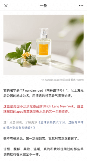 Usa WeChat per affari, esempio di articolo sponsorizzato.