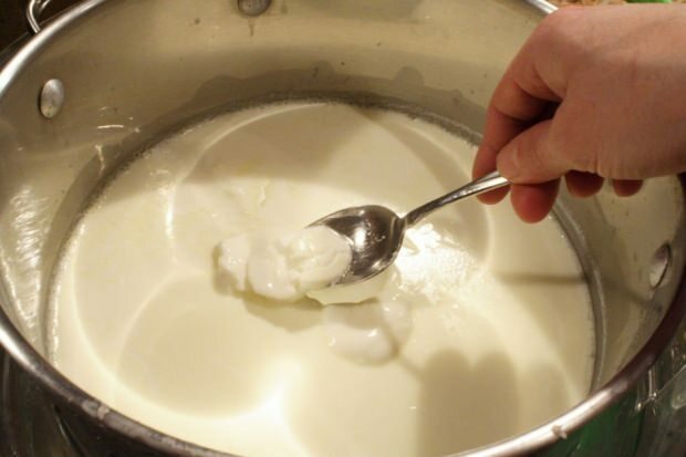 Cosa fare nello yogurt
