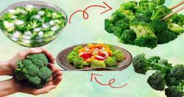In quale stagione e mese crescono i broccoli? Quando mangiare i broccoli? 