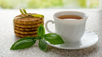 Quali sono i benefici del basilico? Dov'è usato il basilico? Come preparare il tè al basilico?