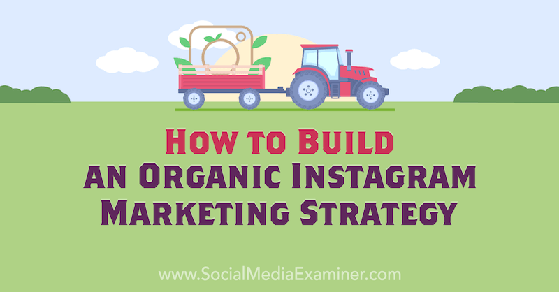 Come costruire una strategia di marketing organica su Instagram di Corinna Keefe su Social Media Examiner.