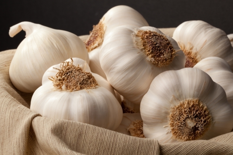Quali sono i benefici dell'aglio? Cosa fa l'aglio in polvere? Se ingerisci un aglio crudo ...