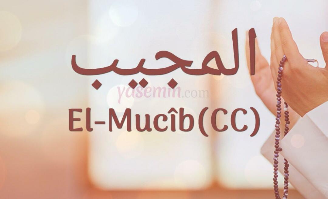 Cosa significa al-Mujib (c.c)? Quali sono le virtù del nome Al-Mujib? Esmaul Husna Al-Mujib...