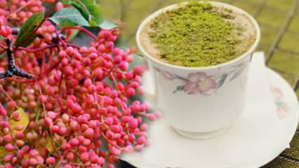 Quali sono i benefici del seme di Menengiç (Çitlembik)? Cosa fa il caffè Menengiç?