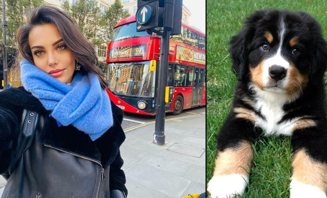 L'attrice Tuvana Türkay ha dato la vita per il suo cane!