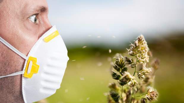l'allergia primaverile è causata da pollini, animali domestici, aumento della temperatura e polvere