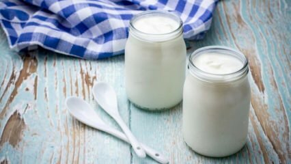 Se consumi 2 tazze di yogurt fatto in casa ogni giorno ...