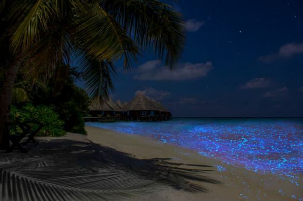 Maldive Vaadhoo Island