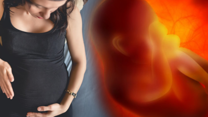 Ha le mestruazioni durante la gravidanza? Cause e tipi di sanguinamento durante la gravidanza