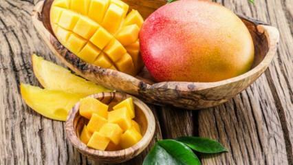 Quali sono i benefici di Mango? Per quali malattie sono utili i mango? Cosa succede se consumi mango regolari?