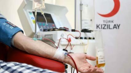 Dove e come donare il sangue? Quali sono le condizioni per donare il sangue
