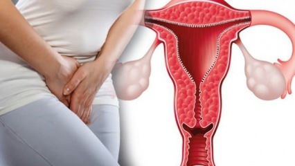 Qual è l'ispessimento della parete uterina? Quanto dovrebbe essere lo spessore della parete uterina durante la gravidanza?