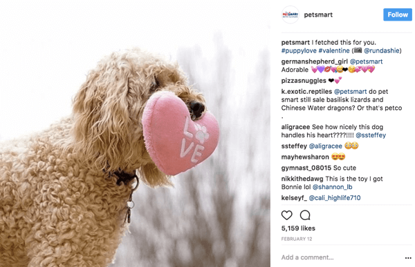Quando PetSmart ricondivide le foto degli utenti su Instagram, attribuisce credito fotografico al poster originale nella didascalia.
