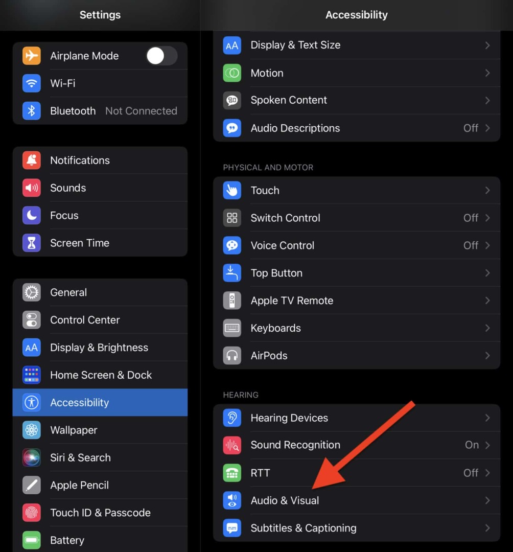 Seleziona Audio e immagini nelle impostazioni di accessibilità sul tuo iPad