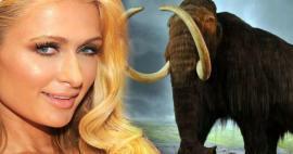 Paris Hilton ha investito i suoi soldi in mammut! 
