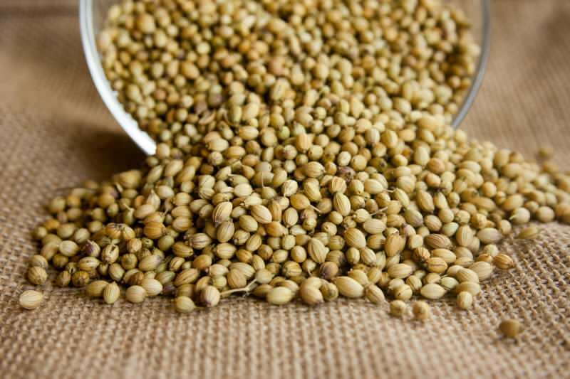 Quali sono i benefici dei semi di coriandolo? Come usare il coriandolo? Cosa fa l'olio di coriandolo?