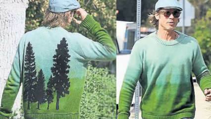 Il maglione disegnato da Pine Pitt, attrice premio Oscar Brad Pitt, era glamour!