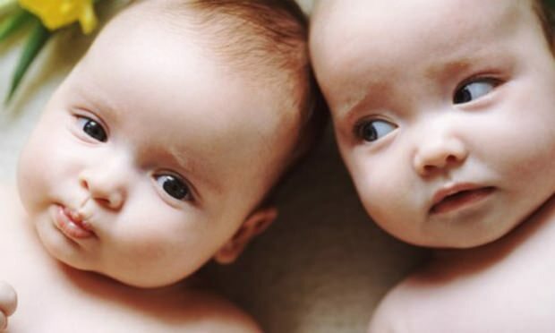 Se ci sono gemelli in famiglia, aumenteranno le possibilità di una gravidanza gemellare? Cavalli di generazione?