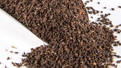 Quali sono i vantaggi del seme Uzerlik? Come preparare i semi del tè Üzerlik?