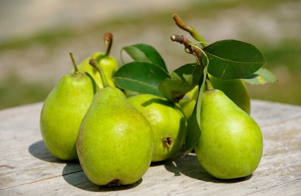 Previene il fastidio: quali sono i vantaggi della pera? Quante pere ci sono? A cosa serve la pera?