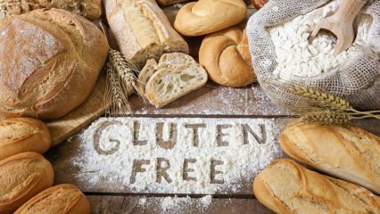 Che cos'è una dieta priva di glutine, come viene fatta? Dieta sana senza glutine