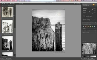 Software Nik Silver Efex Pro - Recensione del software fotografico - Punti di controllo