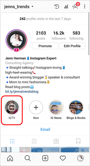 Icona IGTV su un profilo Instagram