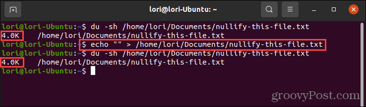 Usando il comando echo con virgolette vuote in Linux