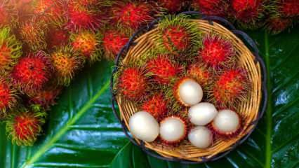Che cos'è il Rambutan? Quali sono i benefici del frutto del Rambutan? Come mangiare il rambutan?