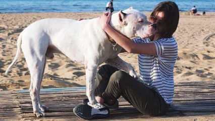 La giovane attrice Alina Boz saluta il suo cane morto! Chi è Alina Boz?
