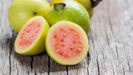 Che cos'è il guava? Quali sono i vantaggi?