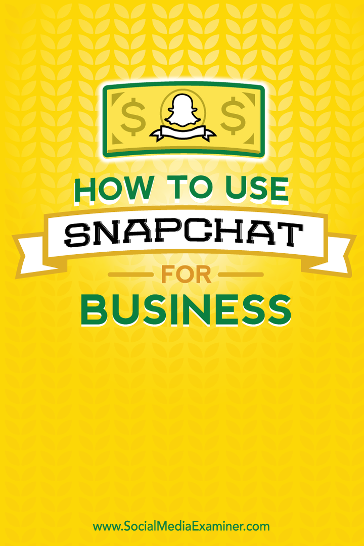Come utilizzare Snapchat for Business: Social Media Examiner
