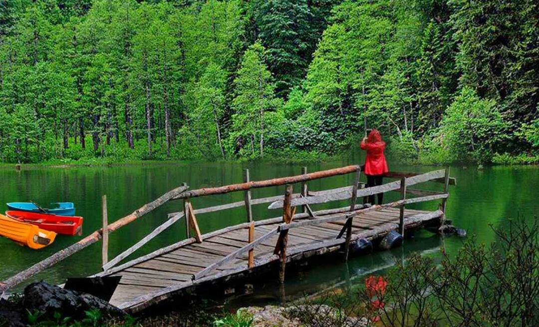 Dov'è Artvino? Dove andare ad Artvin? Quali sono i luoghi da visitare a Artvin?