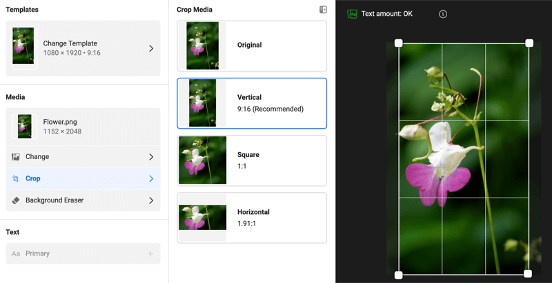 Finestra di dialogo dei modelli di annunci di Instagram Stories che mostra le opzioni di modifica