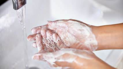  Quali sono i trucchi per lavarsi le mani? Come fare la pulizia delle mani a tutti gli effetti? 