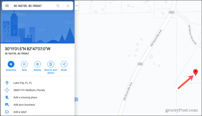 Dettagli posizione Google Maps Online
