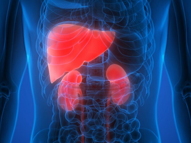 Quali sono i sintomi del cancro al fegato? Esiste un trattamento per il cancro al fegato?