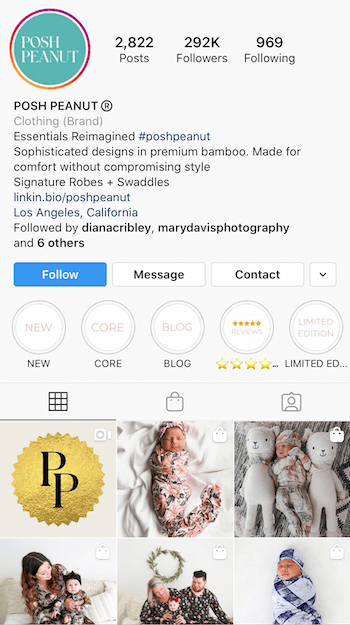 esempio di Instagram bio ottimizzato per il business