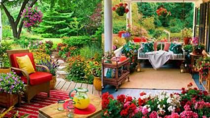 Fiori che puoi usare nel tuo giardino e balcone in autunno!