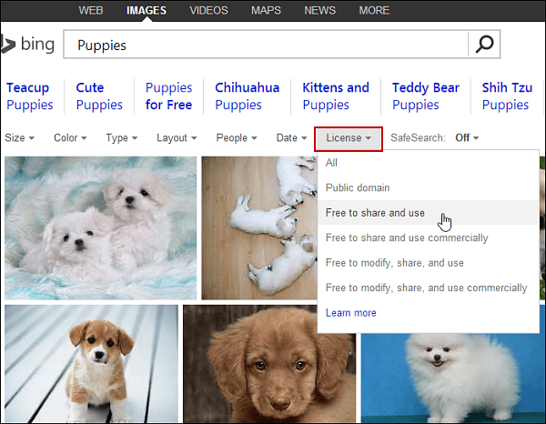 Trova immagini su Bing