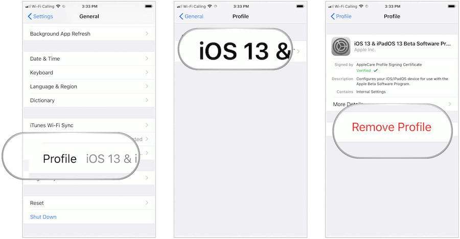 Profilo iOS 13 remoto