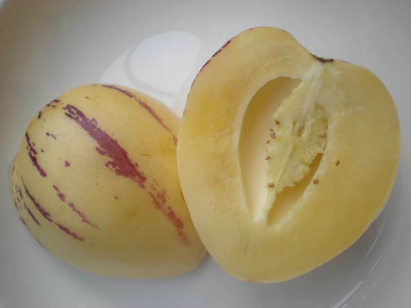 il frutto del pepino è tagliato come un melone come immagine