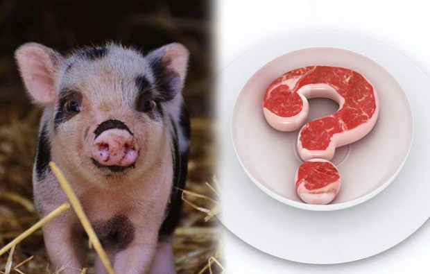 È vietato mangiare carne di maiale?