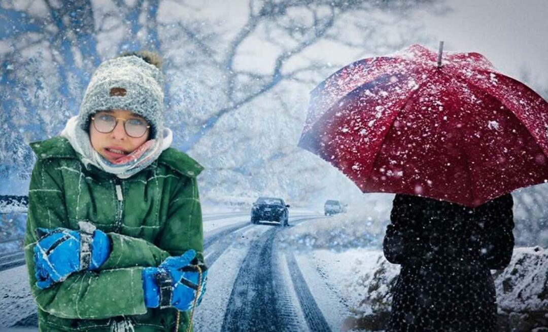 Cos'è l'inverno La Nina? Quando inizia l'inverno di La Nina? Quando nevicherà?