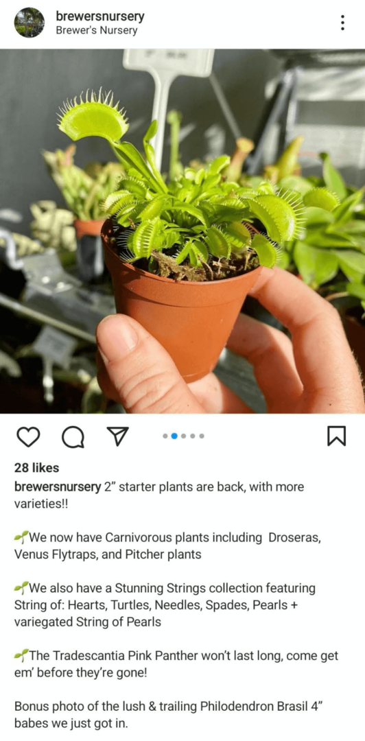 immagine del post del feed di Instagram che mostra un prodotto
