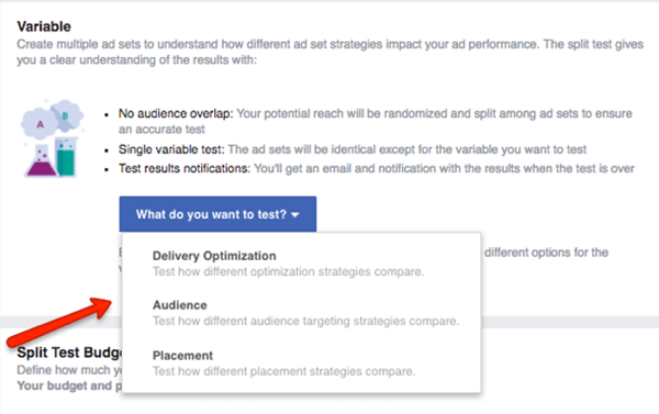 Seleziona quale variabile testare nella tua campagna Facebook.