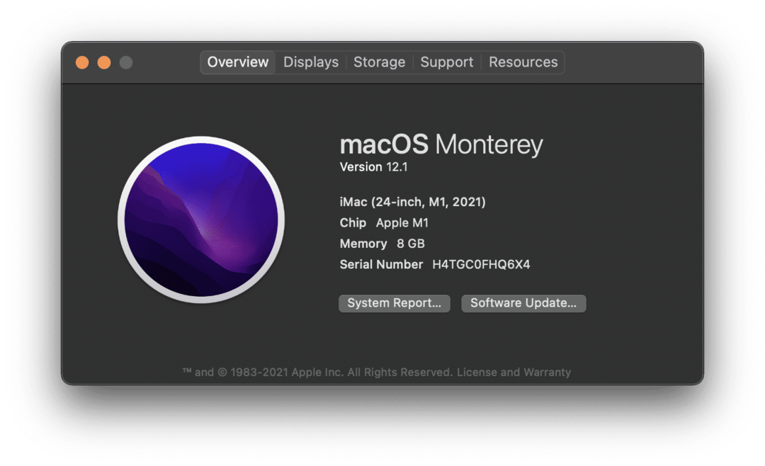 La pagina Informazioni su questo Mac su un iMac M1