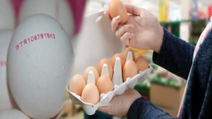 Come viene compreso l'uovo biologico? Cosa significano i codici dell'uovo?